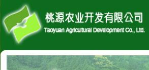 浮梁县农业开发公司与茶叶大数据 异合食品餐饮网运营新机遇