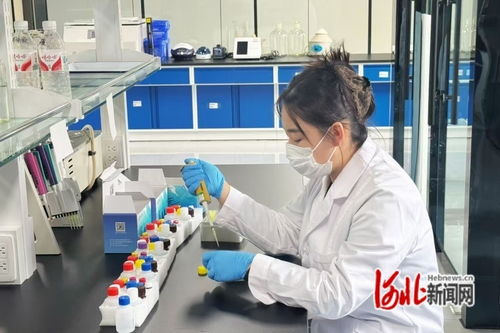 河北遵化 特色产业激活县域经济发展新动能